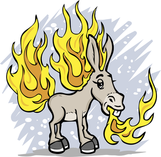 Flaming jackass